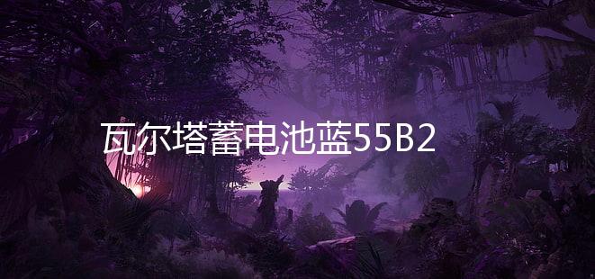 瓦尔塔蓄电池蓝55B24R适配威志威姿森雅熊猫奇瑞Q3汽车电瓶 蓝标下载