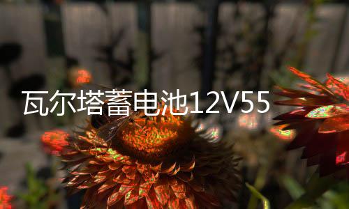 瓦尔塔蓄电池12V55AH适配凯越乐风乐驰骋景程指南者汽车电瓶86610下载