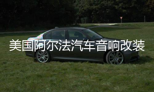 美国阿尔法汽车音响改装发烧12寸10寸超重双音圈无源低音炮喇叭下载