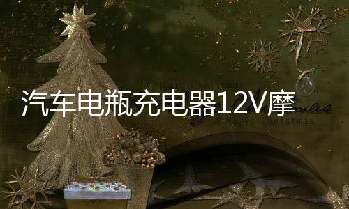 汽车电瓶充电器12V摩托车铅酸蓄电池12伏智能全自动通用型充电机下载