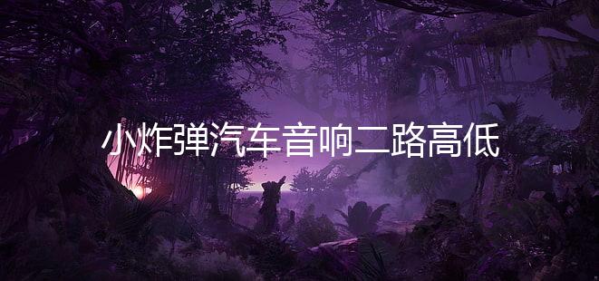 小炸弹汽车音响二路高低电平功放车载2声道功放大功率推低音套装下载