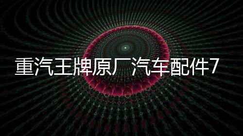 重汽王牌原厂汽车配件737B757B777B自卸货车刹车转向灯后尾灯总成下载