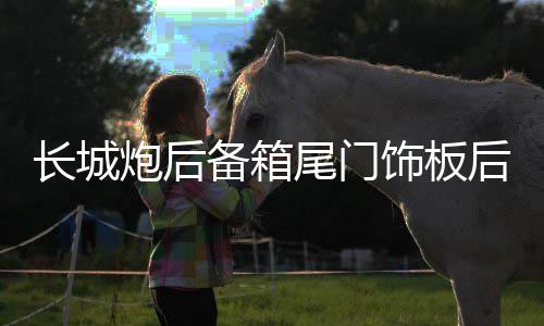 长城炮后备箱尾门饰板后尾箱装饰护板商用越野版皮卡改装专用配件下载
