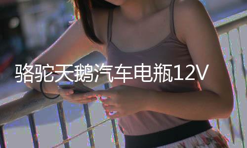 骆驼天鹅汽车电瓶12V60AH55D26R丰田皇冠锐志马自达6哈弗H2H3H5H6下载