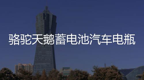 骆驼天鹅蓄电池汽车电瓶12V60AH55D26L马自达6凯美瑞汉兰达海马S6下载