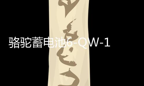 骆驼蓄电池6-QW-120适配拖拉机农用车挖掘机汽车电瓶 以旧换新下载