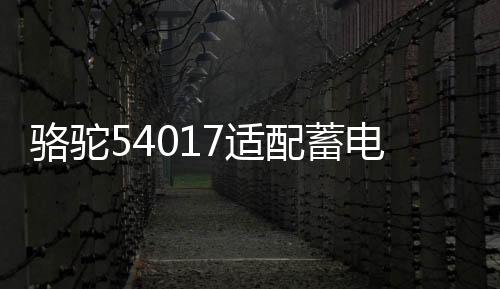 骆驼54017适配蓄电池BYD比亚迪F0原装宝骏310W景逸X640AH汽车电瓶下载