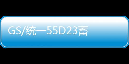 GS/统一55D23蓄电池60AH丰田卡罗拉雷凌花冠威驰天籁原装汽车电瓶下载