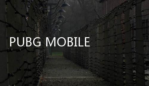 PUBG MOBILE LITE低配版下载