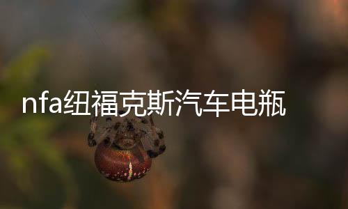 nfa纽福克斯汽车电瓶充电器大功率全自动智能12V蓄电池充电机修复下载